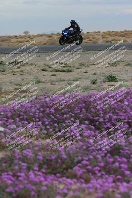 media/Jan-14-2023-SoCal Trackdays (Sat) [[497694156f]]/Turn 14 Exit Bloomig (145pm)/